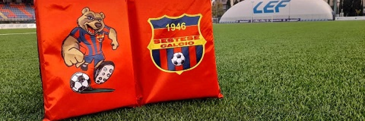 idea regalo cuscini da stadio 